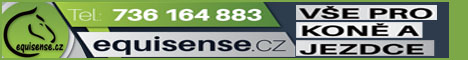 70116221_A