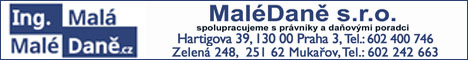 Malé daně účetnictví