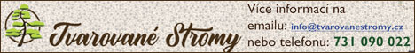NIWAKI tvarované stromy