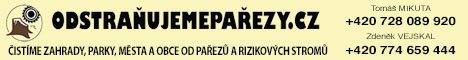 odstranujeme parezy a