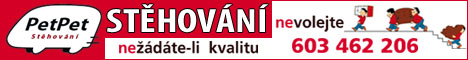 10419011