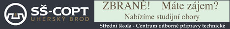 střední škola puškařská rytí kovů a