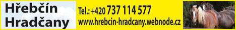 80021316