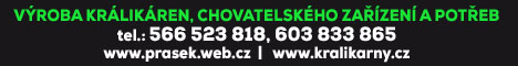 60078216