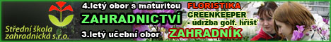 20079213