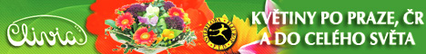 banner u záznamu