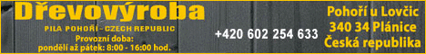 c90091219