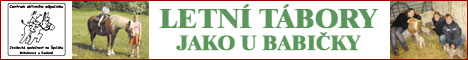 banner u záznamu