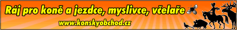 1153409jezdectvi