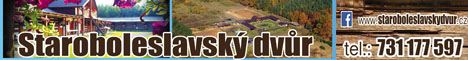 70355217