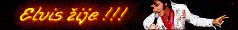 1113508 banner_elvis_zije