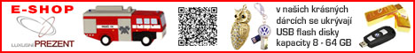 80245213 oprava