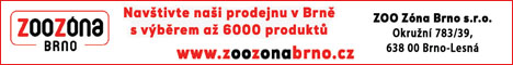 40045220_A