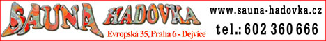 13845511