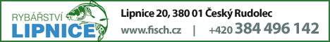 10631016