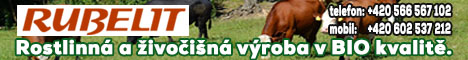 rubelit a