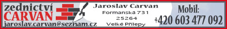 10135215