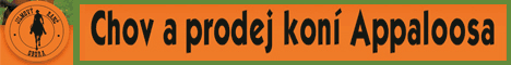 jilmový ranč chov koní appaloosa a