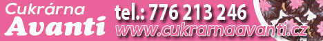 80121216