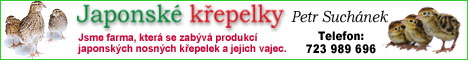60061214