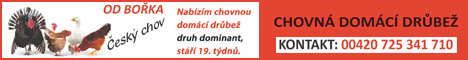 Lenka Panáčková prodej důbeže A