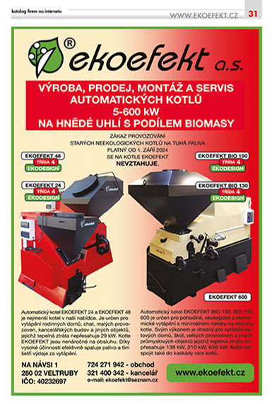 strana31