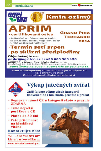 strana80