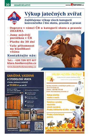 strana20