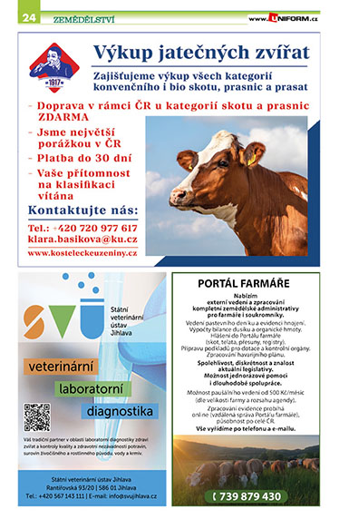 strana24