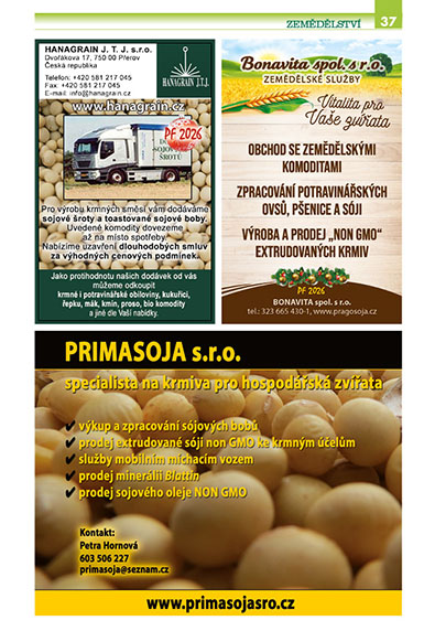 strana37